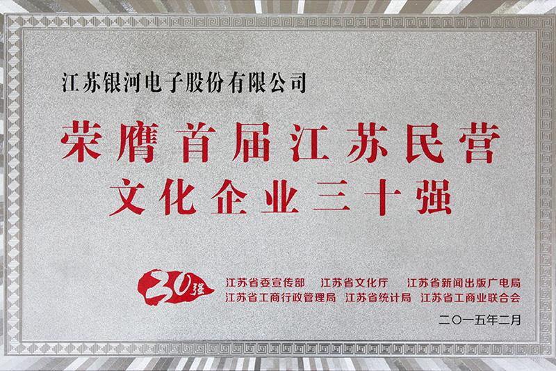 江苏省民营文化企业30强